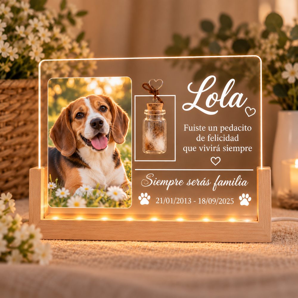 Marco encendido con la foto de Lola, una beagle, y la frase «Fuiste un pedacito de felicidad que vivirá siempre»